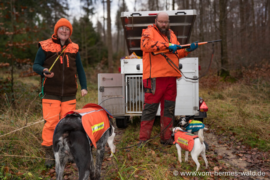 Die energiegeladene Parson Russell Terrier bereiten sich zusammen mit ihren Besitzern auf die bevorstehende Jagd vor.